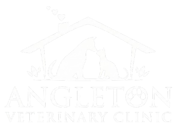 Angleton Veterinary Clinic